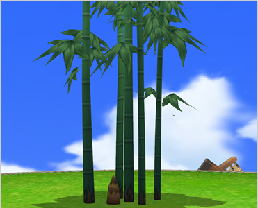 Bamboo